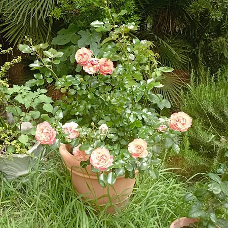 Σπίτι διακοπών Sardinia Ovest 2