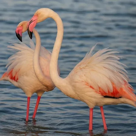 Sardinia Ovest 2 * Putzu Idu